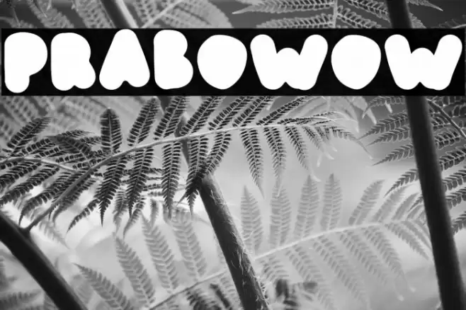prabowow Font examples