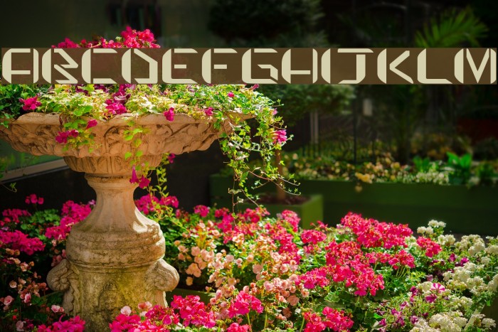 praetorian defiance Example 1