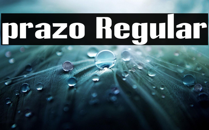 prazo Regular Example 3