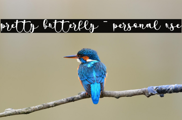 pretty butterfly - personal use Example 2