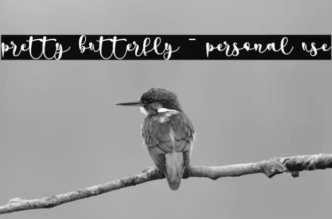 pretty butterfly - personal use Font examples