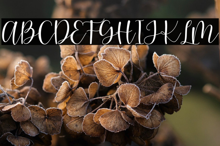 pretty hearty - Personal Use Example 1