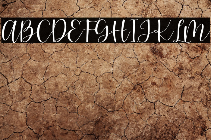 pretty hearty - Personal Use Example 2