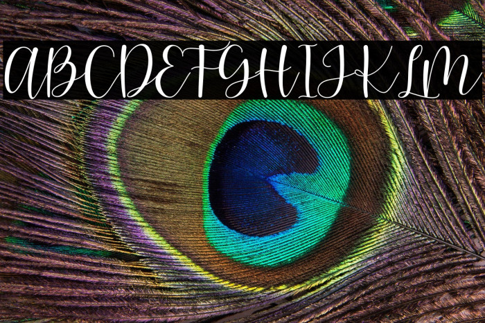 pretty hearty - Personal Use Example 3