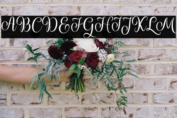 prettyheartscript Example 3