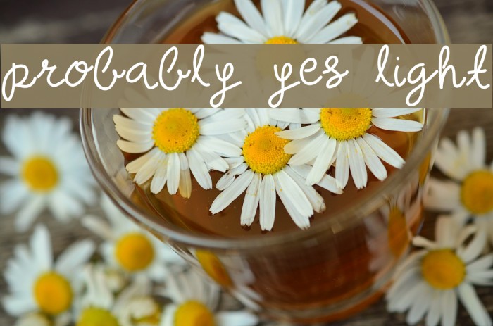 probably yes light Font examples