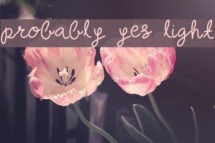 probably yes light Font examples