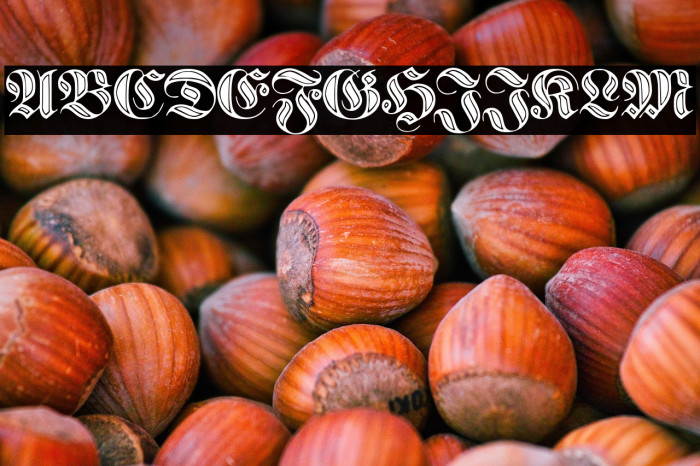 proclamate incised خط examples