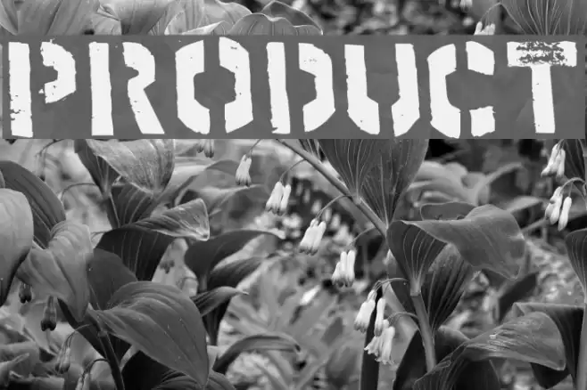 product Font examples