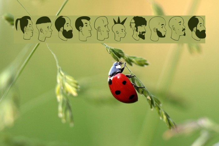 profilsdco Example 2