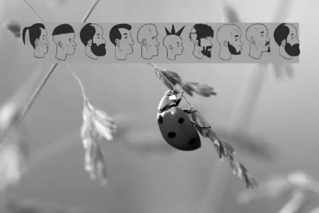 profilsdco Font examples