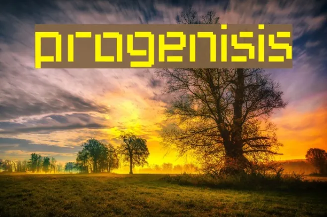 progenisis Example 1