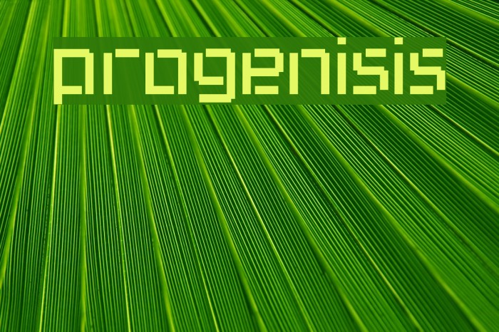 progenisis Font examples