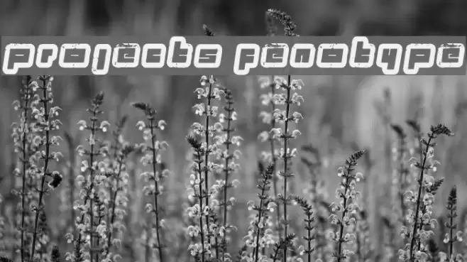 projects fenotype Fuentes examples