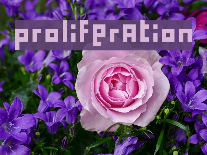 proliferation Font examples