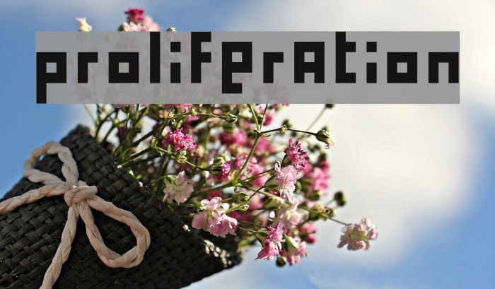 proliferation Font examples