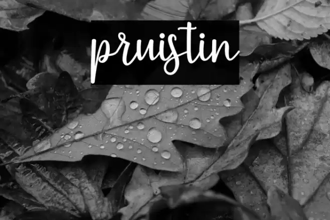 pruistin Font examples