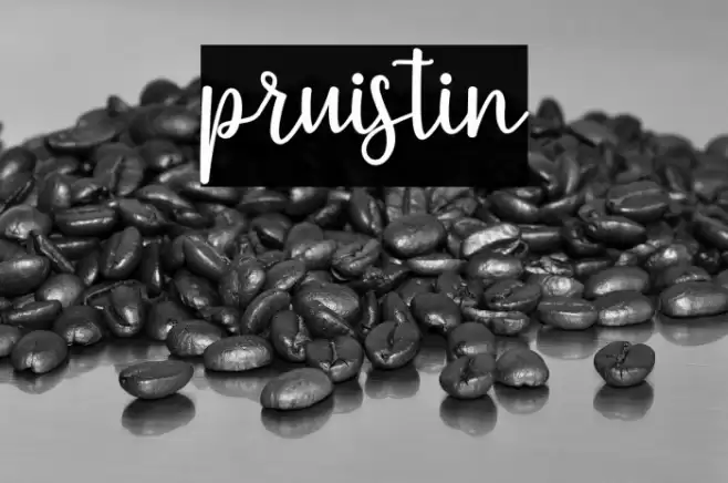 pruistin Font examples