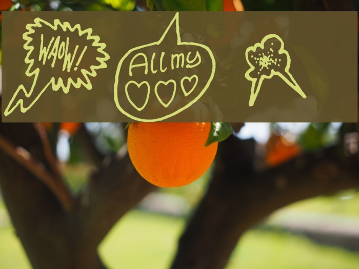 PS I love you Font examples