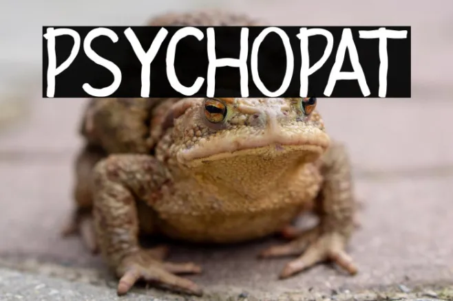 PSYCHOPAT Example 1