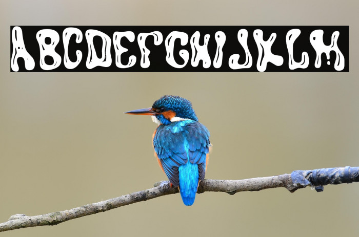 PSYCHOPERSONALUSE-Regular Example 2