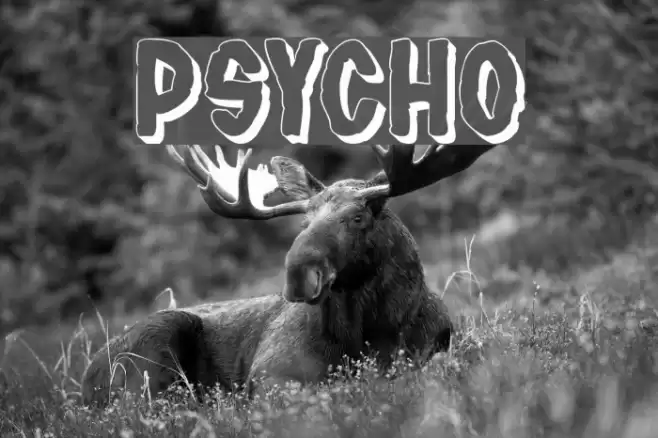 PSYCHO Font examples