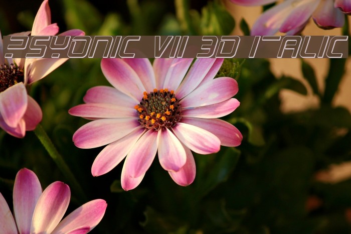 PsYonic VII 3D Italic Font examples