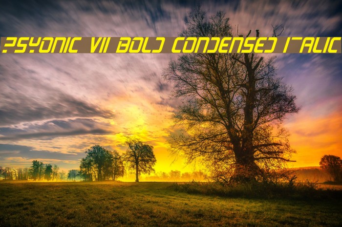 PsYonic VII Bold Condensed Italic Font examples