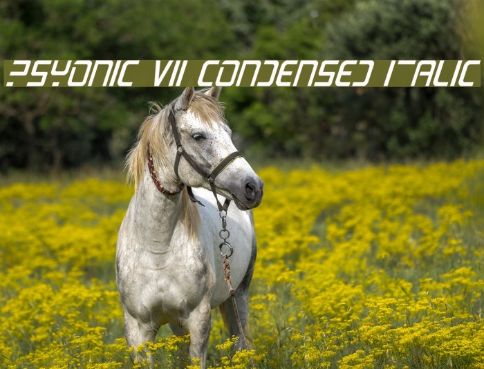 PsYonic VII Condensed Italic Font examples