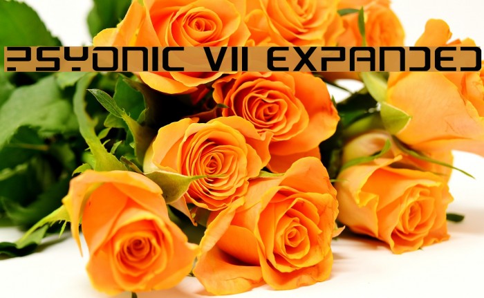 PsYonic VII Expanded Font examples