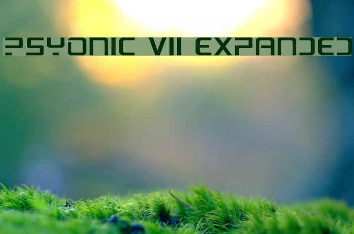 PsYonic VII Expanded Font examples