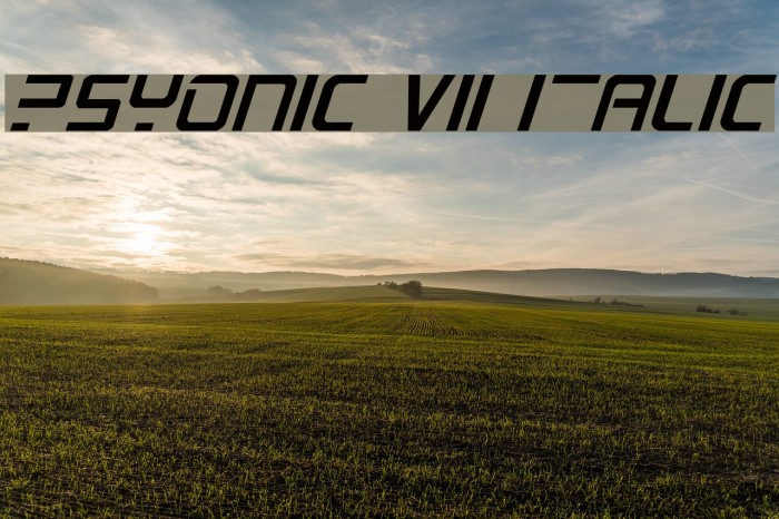 PsYonic VII Italic Font examples