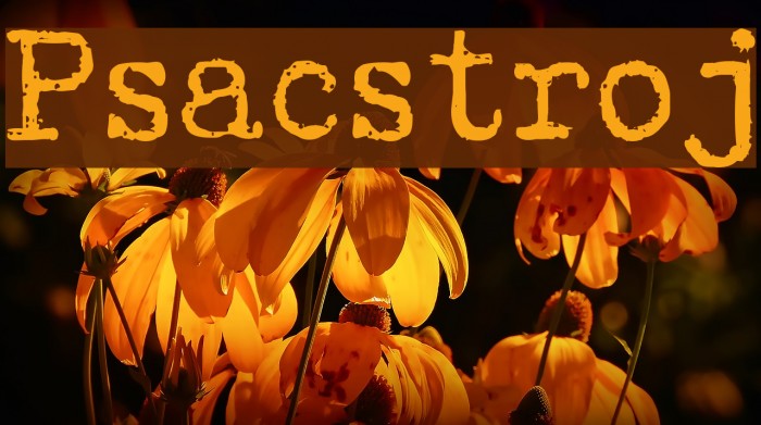 Psacstroj Font examples