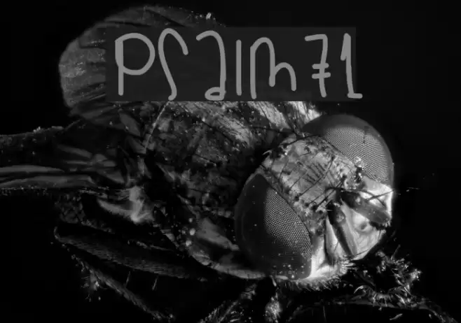 Psalm71 Font examples