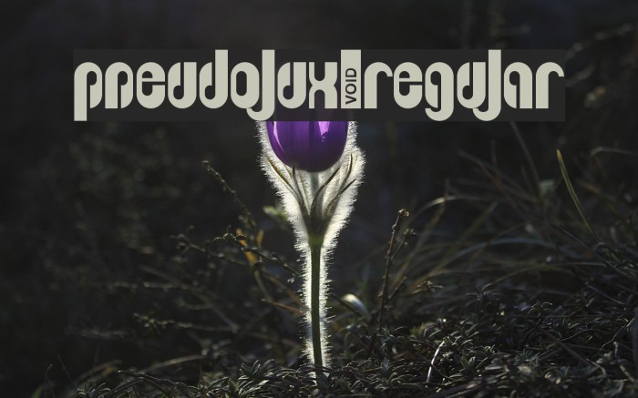 Pseudolux-Regular Font examples