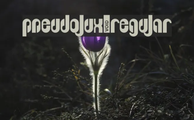 Pseudolux-Regular Example 1