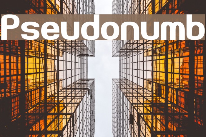 Pseudonumb Font examples