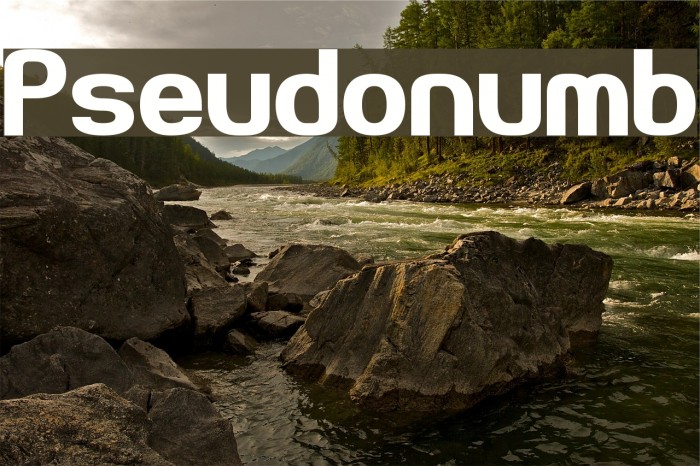 Pseudonumb Font examples