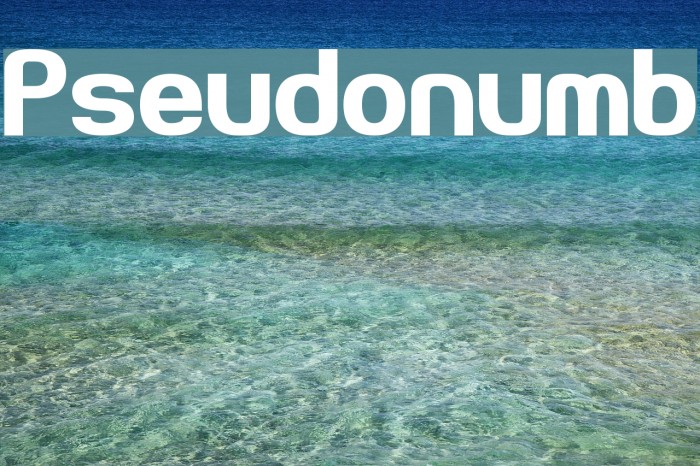 Pseudonumb Font examples