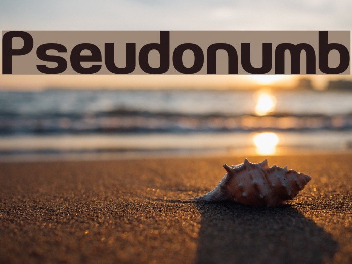 Pseudonumb Font examples