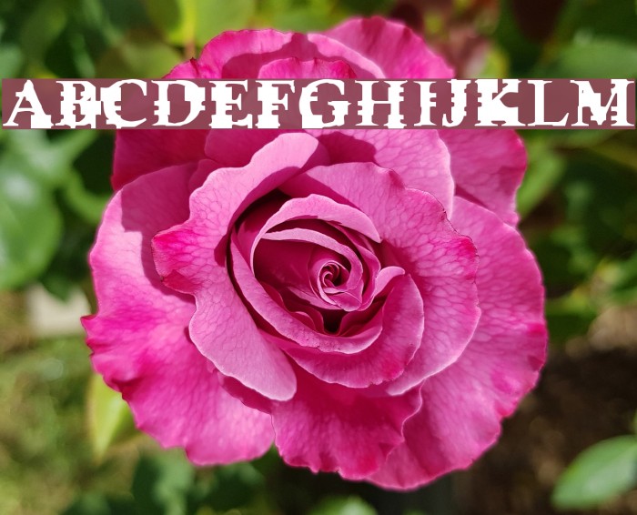 Psi Borgz Font examples