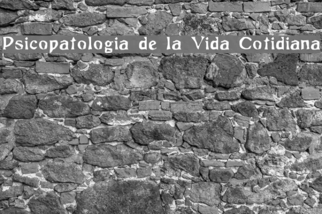 Psicopatologia de la Vida Cotidiana Font examples