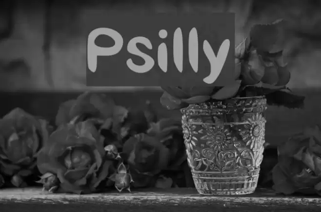 Psilly Font examples
