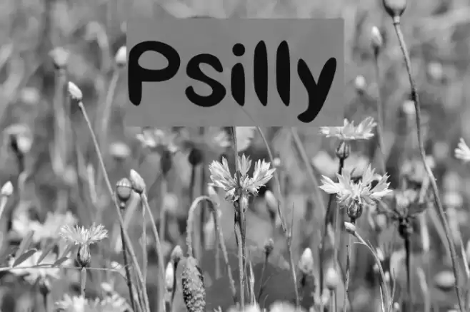 Psilly Font examples