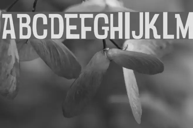 Psychatronic Font examples