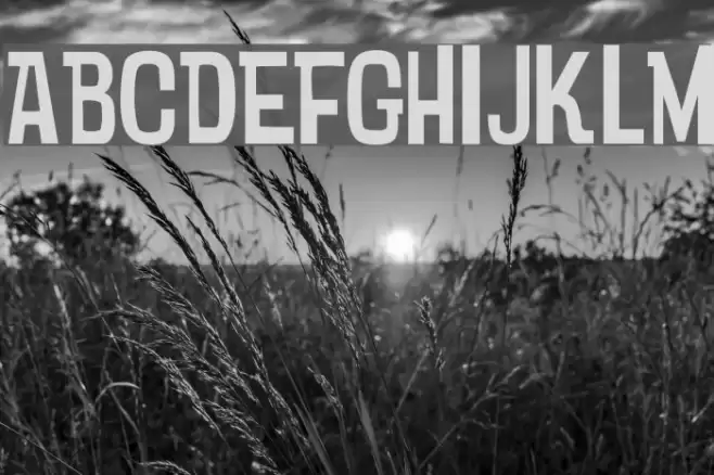 Psychatronic Font examples