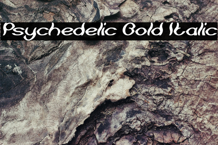 Psychedelic Bold Italic Example 3