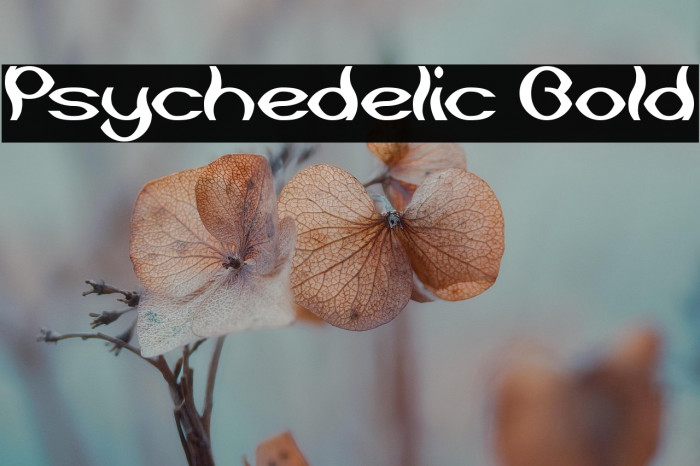 Psychedelic Bold Example 3