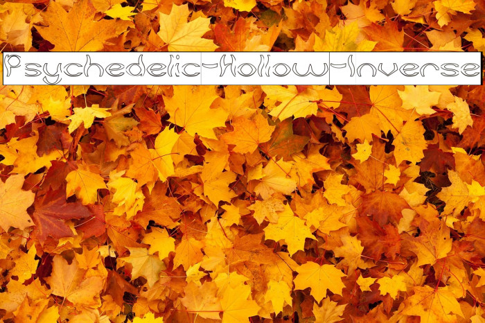 Psychedelic-Hollow-Inverse Example 1