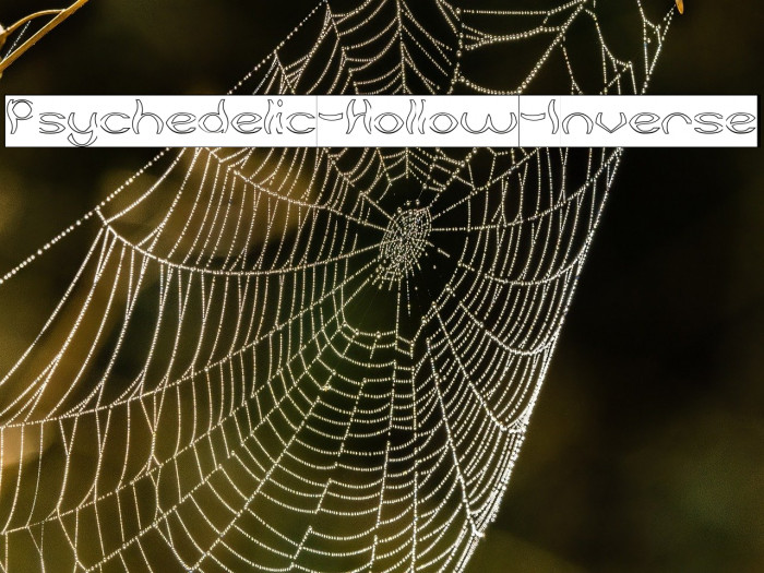 Psychedelic-Hollow-Inverse Example 3